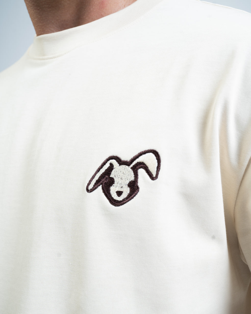Rabbit collection 001