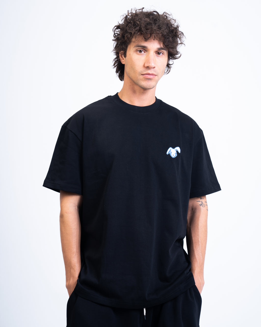 Rabbit collection 001